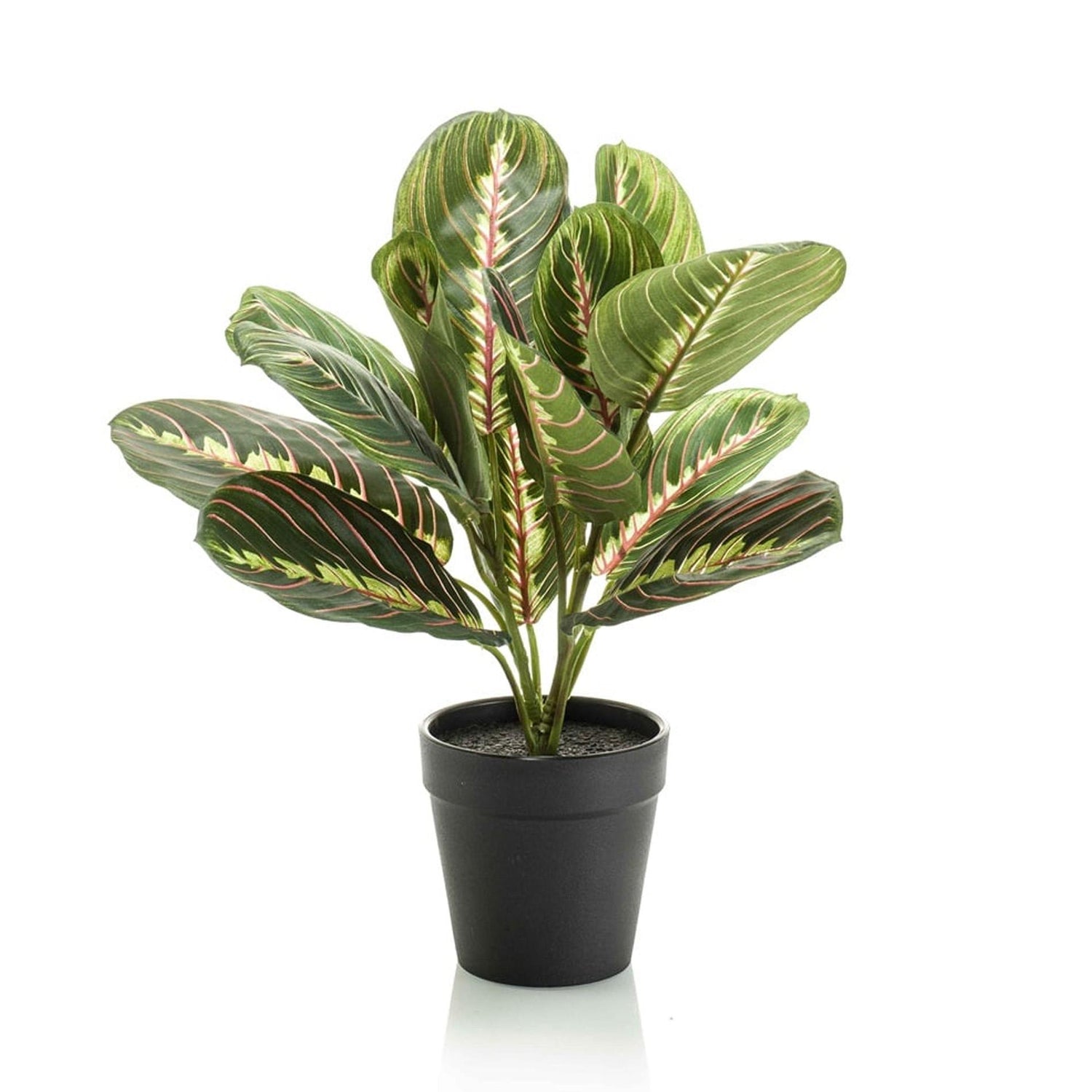 Grüne künstliche Maranta Pflanze, 30 cm, im schwarzen Topf, Everspring, detailreiche Nachbildung für Dekorzwecke