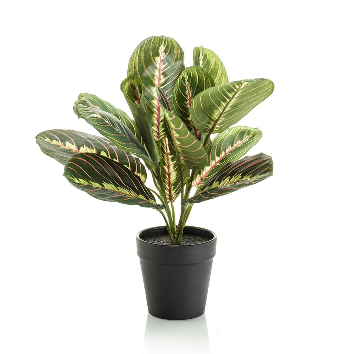 Grüne künstliche Maranta Pflanze, 30 cm, im schwarzen Topf, Everspring, detailreiche Nachbildung für Dekorzwecke