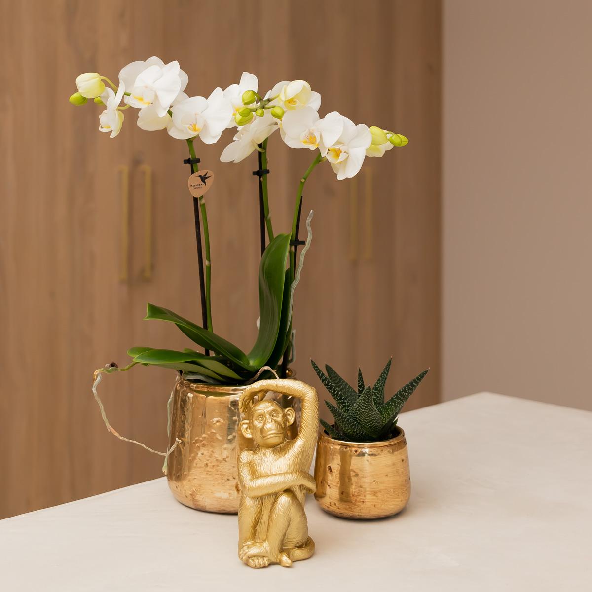 Luxuriöser Blumentopf - Goldener Keramiktopf - Ø 6 cm - Wurzelwerk Design