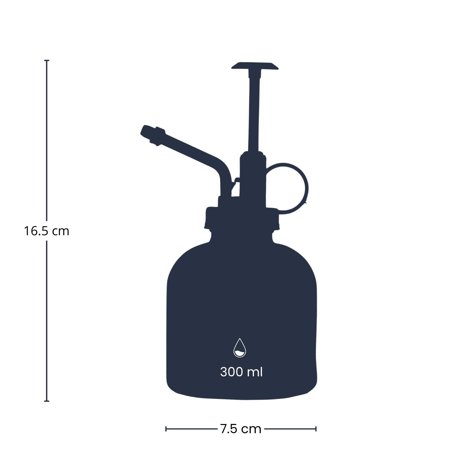 Pflanzensprüher – Klarglas mit schwarzem Sprühkopf – 300 ml – Stilvoll &amp; praktisch für Zimmerpflanzen