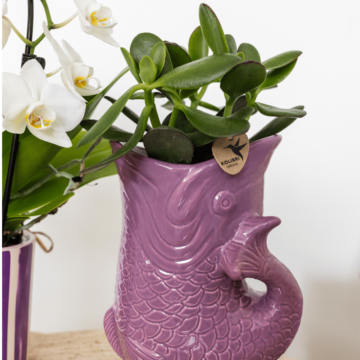 Fisch - Lila - Ø 9 cm - Wurzelwerk Design