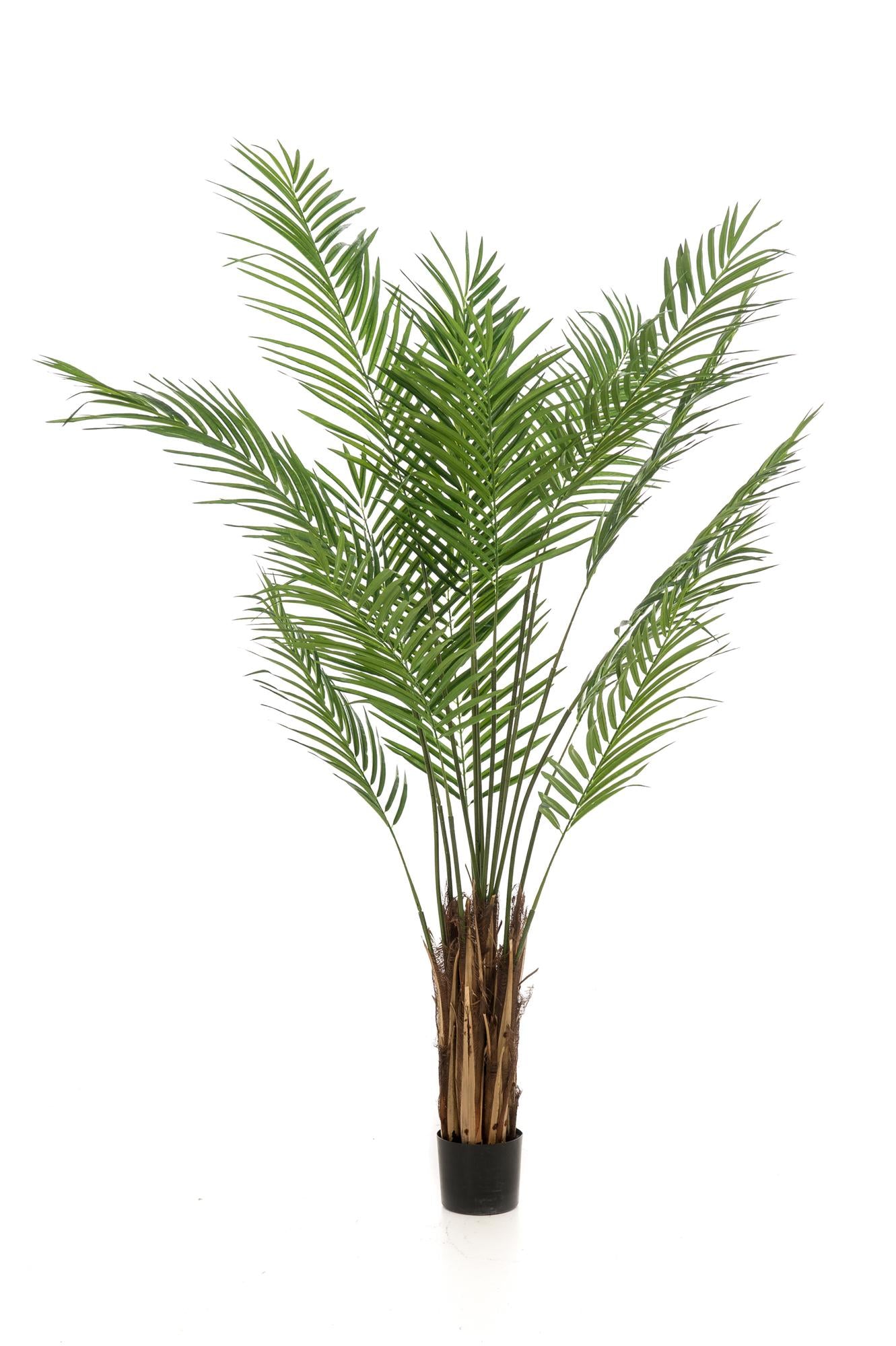 Kunstpflanze Areca lutescens Goldpalme, 180 cm hoch im Topf als pflegeleichte Dekopalme für Innenräume