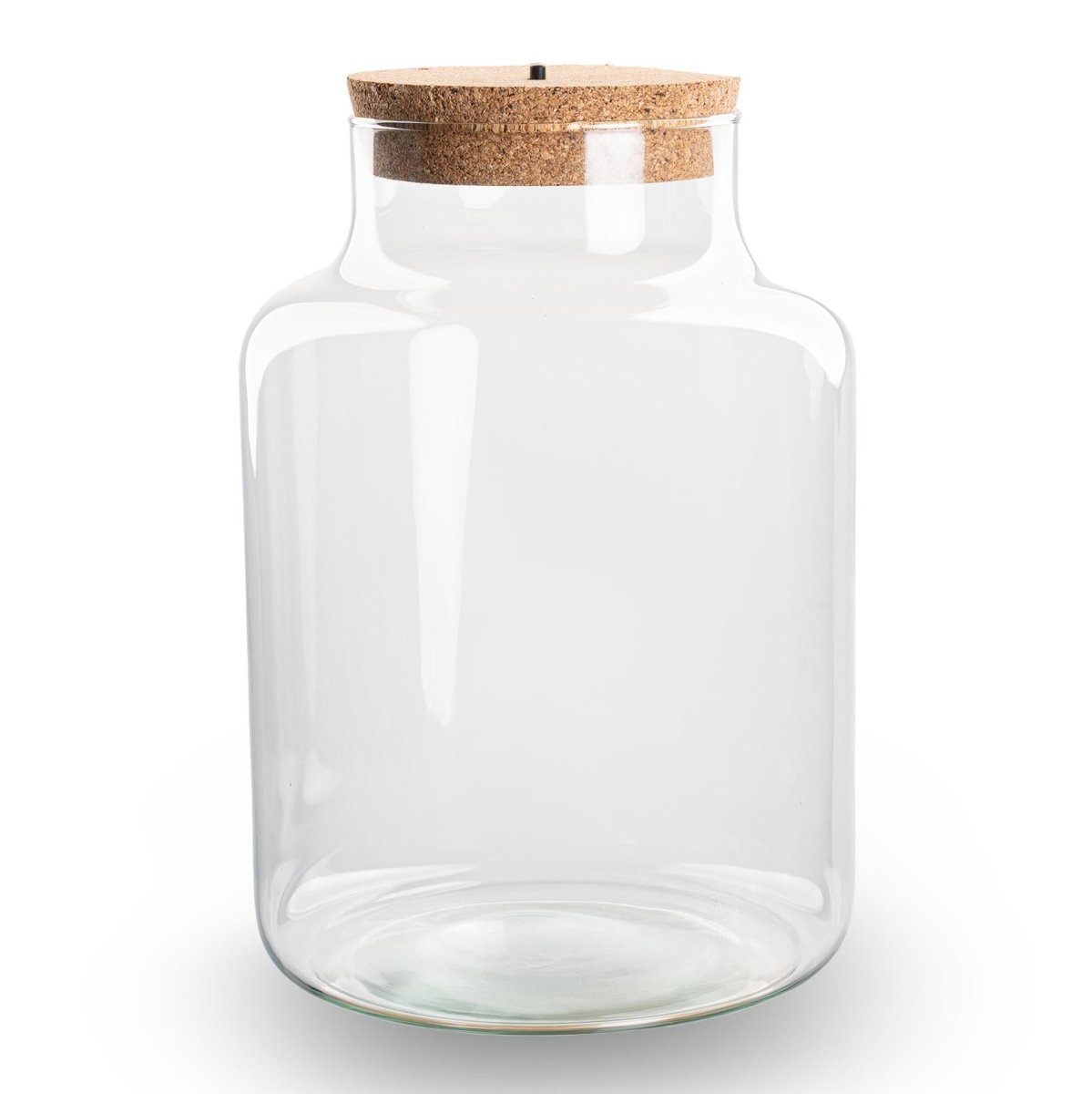 Kleine milchige Terrarienflasche mit Korken - Geschlossenes großes Terrarium ↑ 24,5 cm - Wurzelwerk Design