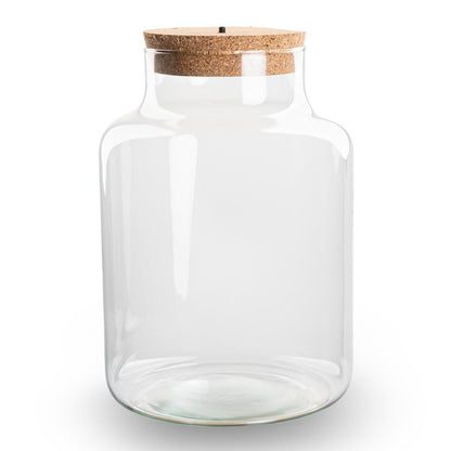 Kleine milchige Terrarienflasche mit Korken - Geschlossenes großes Terrarium ↑ 24,5 cm - Wurzelwerk Design