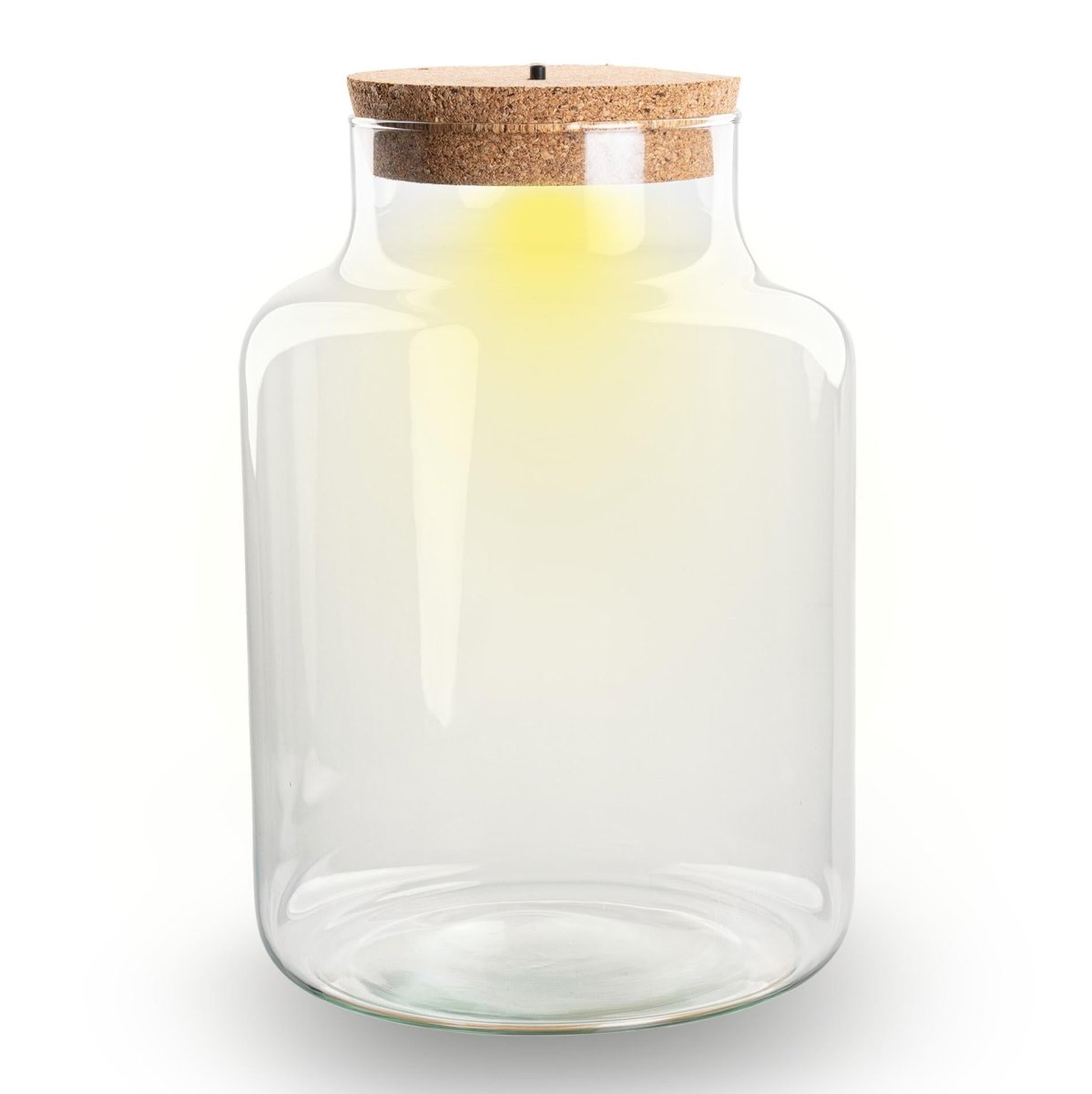 Kleine milchige Terrarienflasche mit Korken - Geschlossenes großes Terrarium ↑ 24,5 cm - Wurzelwerk Design