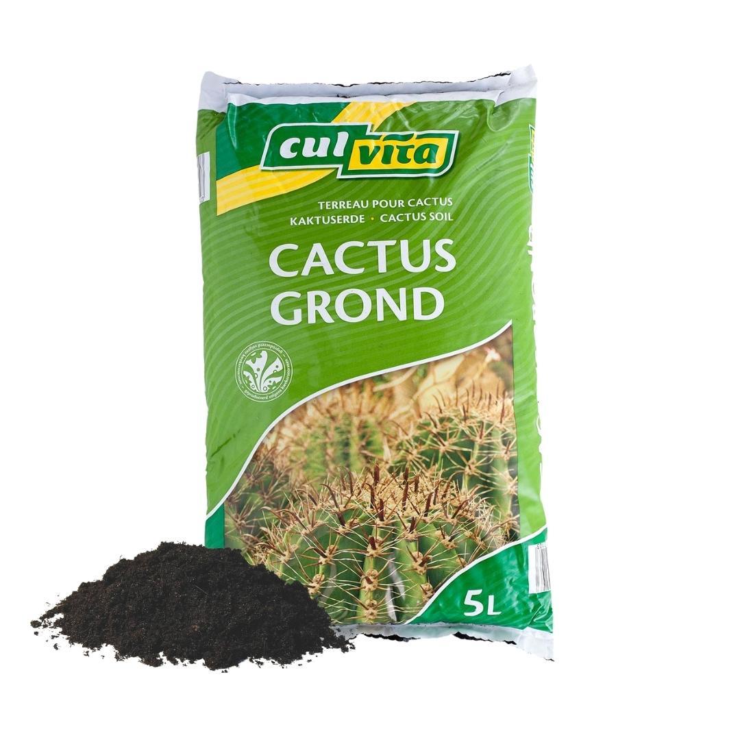 Culvita Cactuserde – 5 L – Spezialerde für Kakteen &amp; Sukkulenten – Optimale Drainage &amp; kräftiges Wachstum
