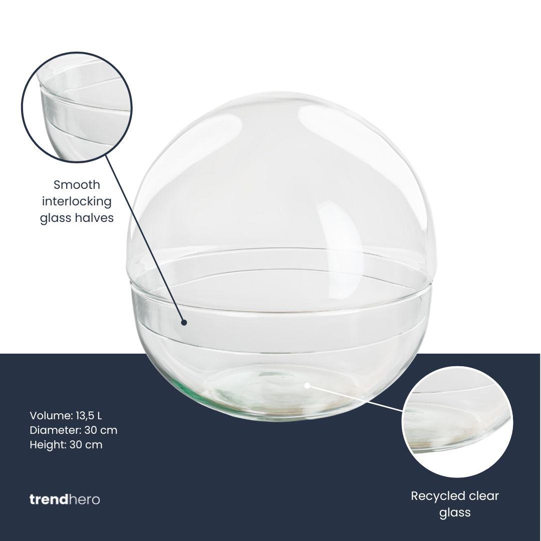 Zweiteilige Everspring Terrariumflasche Dome XL, transparent mit Ø 28 cm, für Terrarien und Pflanzen, Nahaufnahme