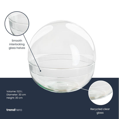 Zweiteilige Everspring Terrariumflasche Dome XL, transparent mit Ø 28 cm, für Terrarien und Pflanzen, Nahaufnahme