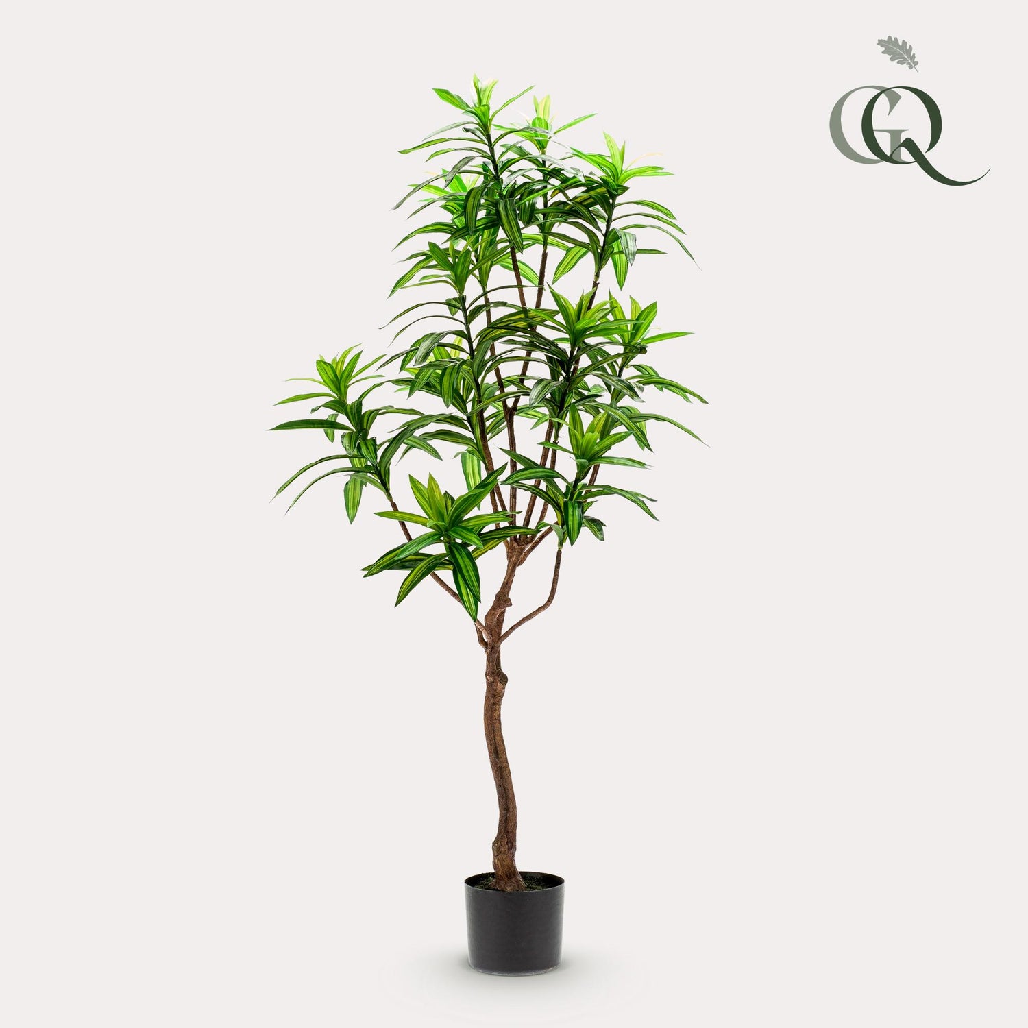 Kunstpflanze Drachenbaum von Everspring, 130 cm, 155 cm oder 190 cm, realistisch aussehende Pflanze für Dekoration.