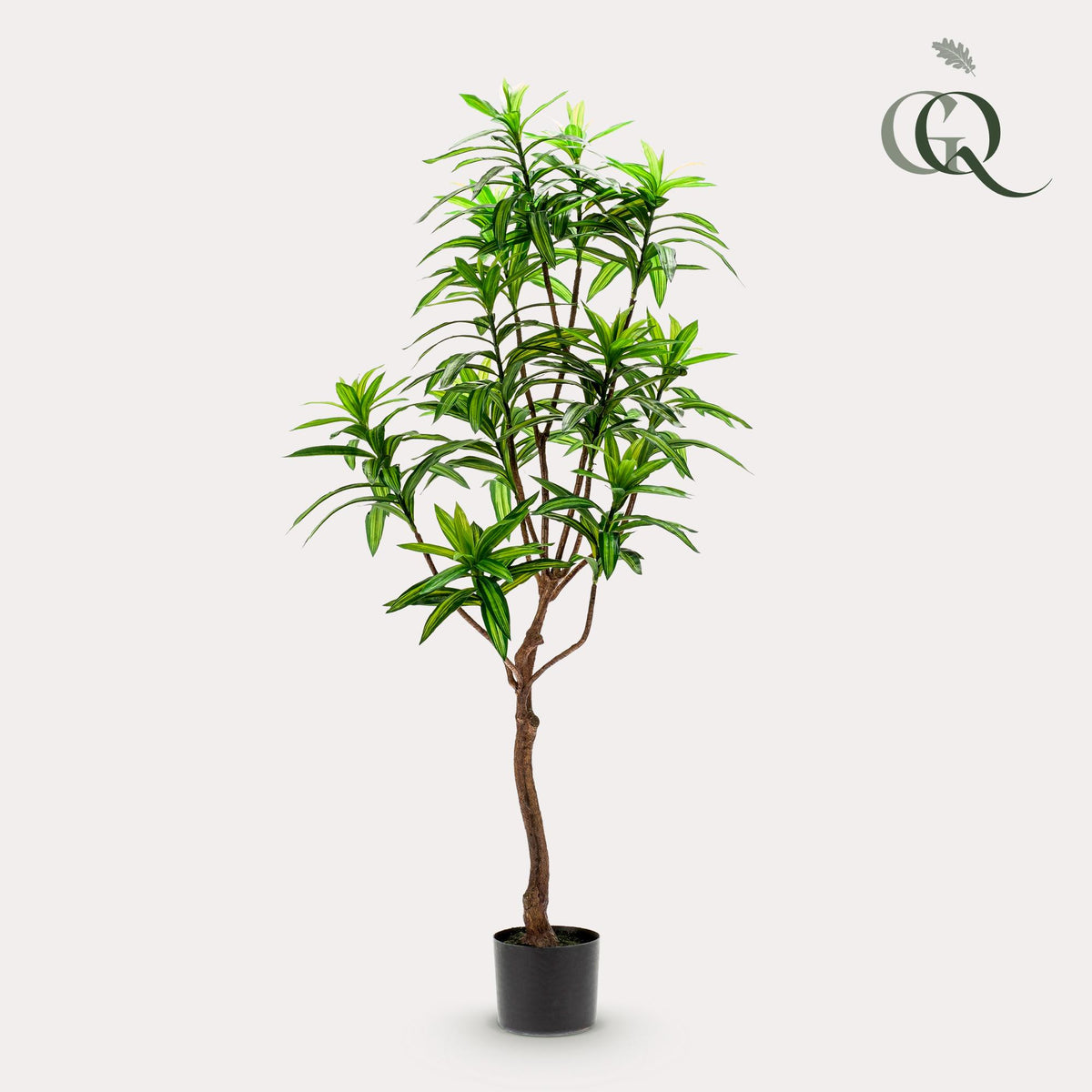 Kunstpflanze Drachenbaum von Everspring, 130 cm, 155 cm oder 190 cm, realistisch aussehende Pflanze für Dekoration.