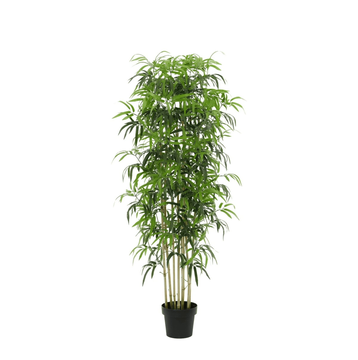 Künstlicher Bambus von Everspring, 150cm oder 180cm hoch, grüne Pflanze für Dekor und Raumgestaltung.
