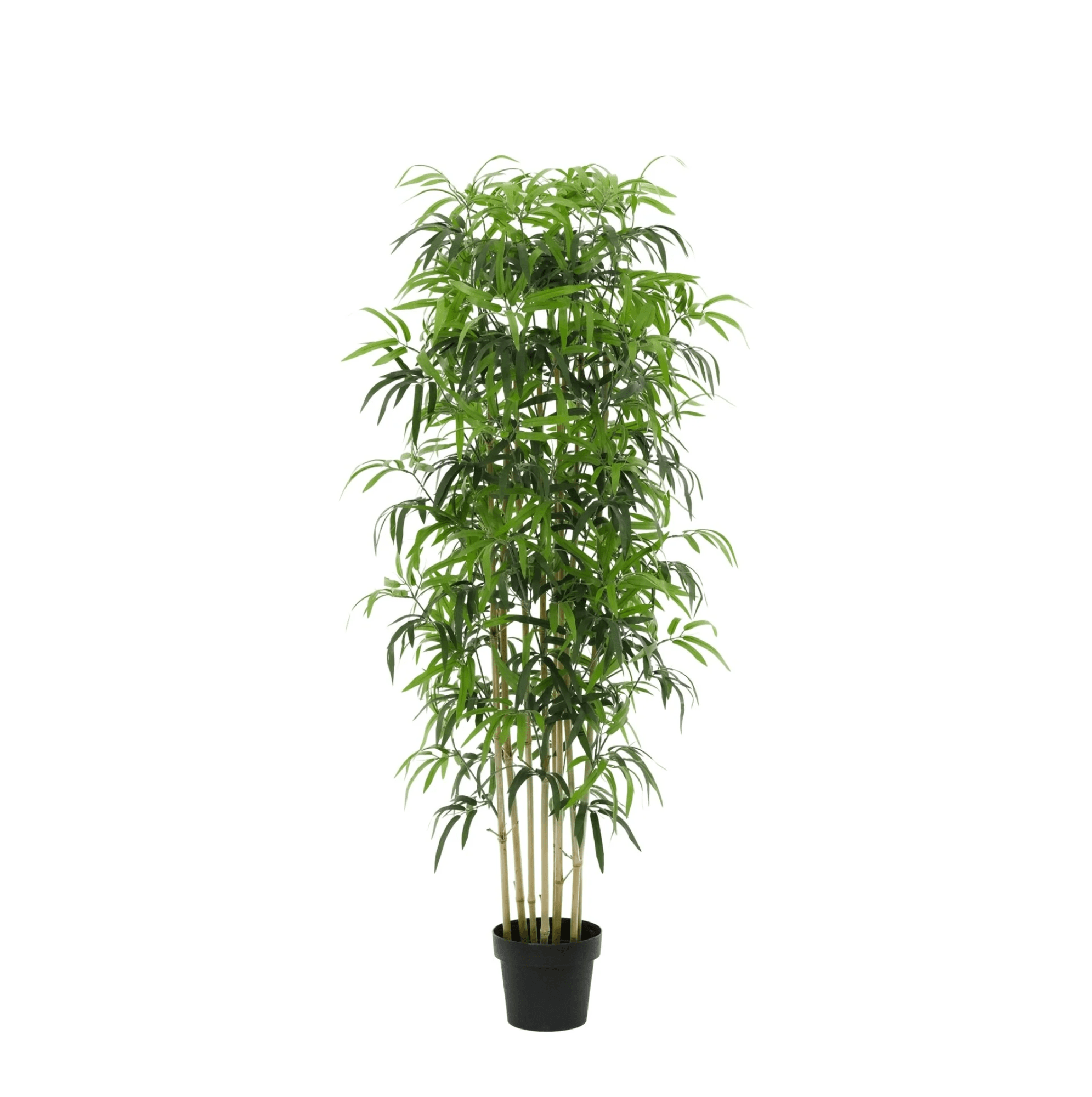 Künstlicher Bambus von Everspring, 150cm oder 180cm hoch, grüne Pflanze für Dekor und Raumgestaltung.