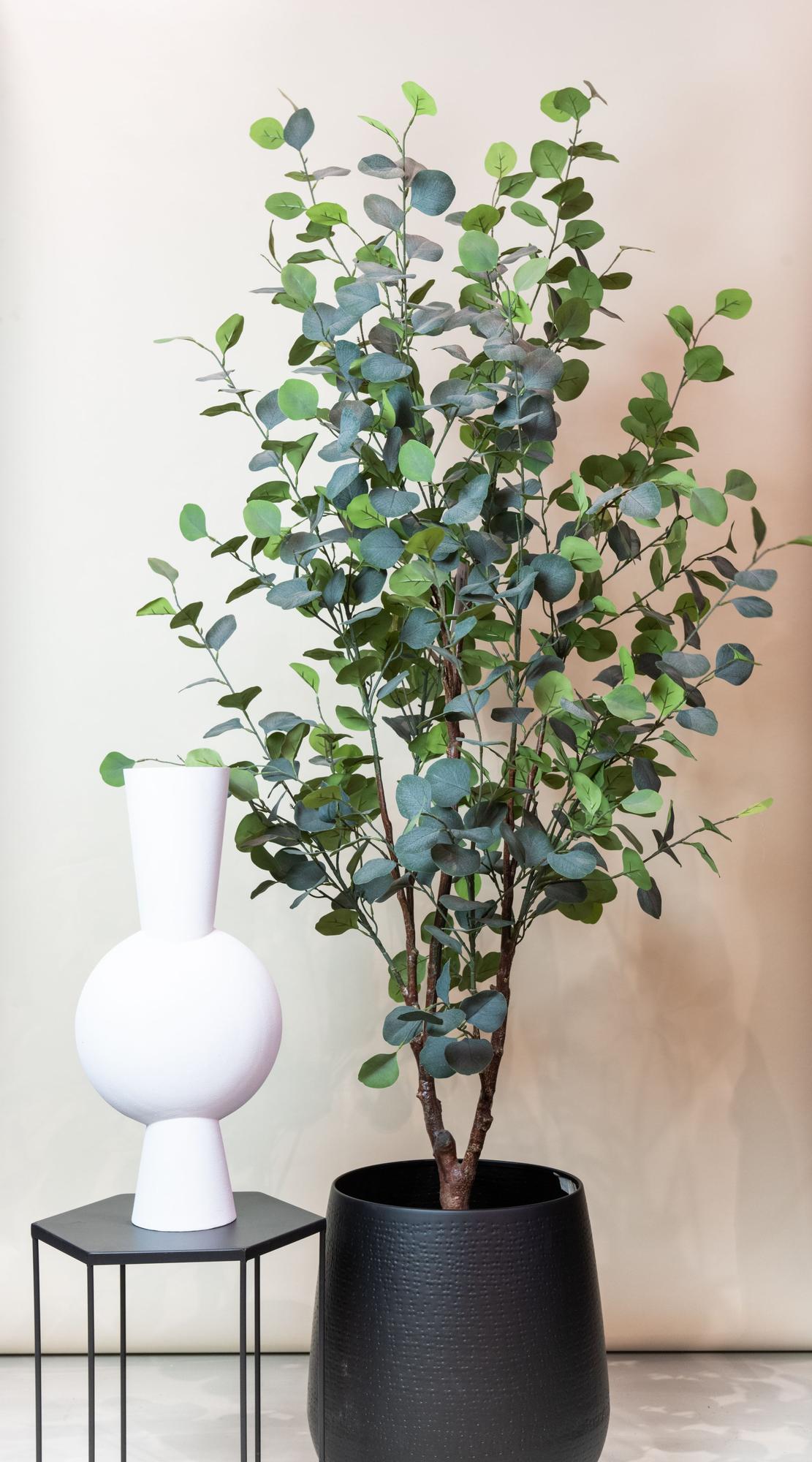 Kunstpflanze Eucalyptusbaum, blauer Gummibaum in 120cm oder 180cm, realistische Everspring Zimmerpflanze.