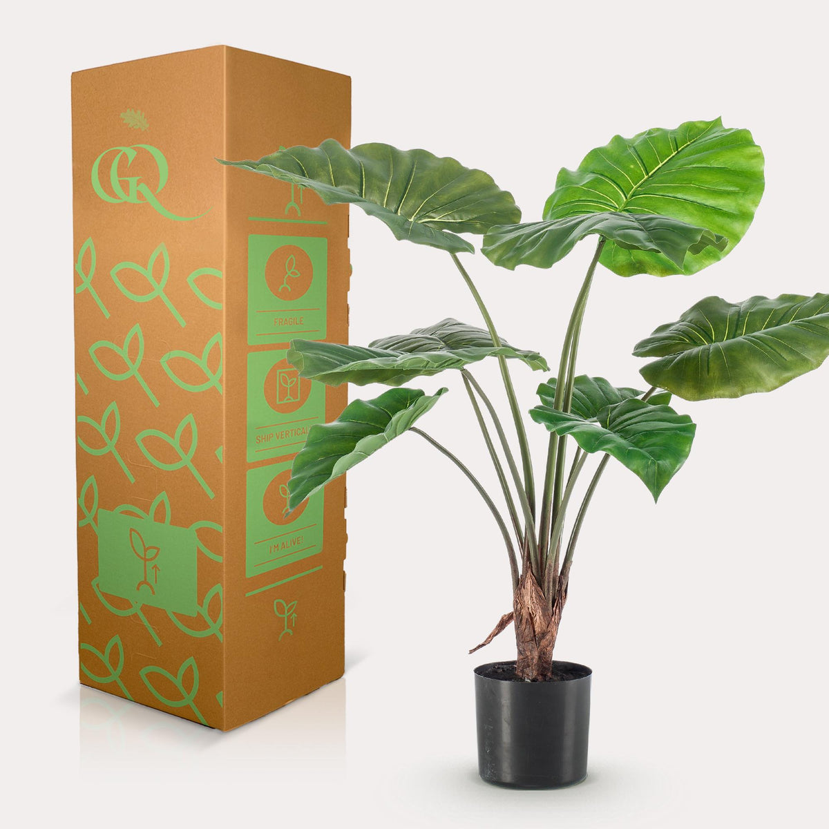 Kunstpflanze Alocasia (Elefantenohr) von Everspring, 70-180 cm hohe, grüne Blätter, realistische Pflanzen-Dekoration.