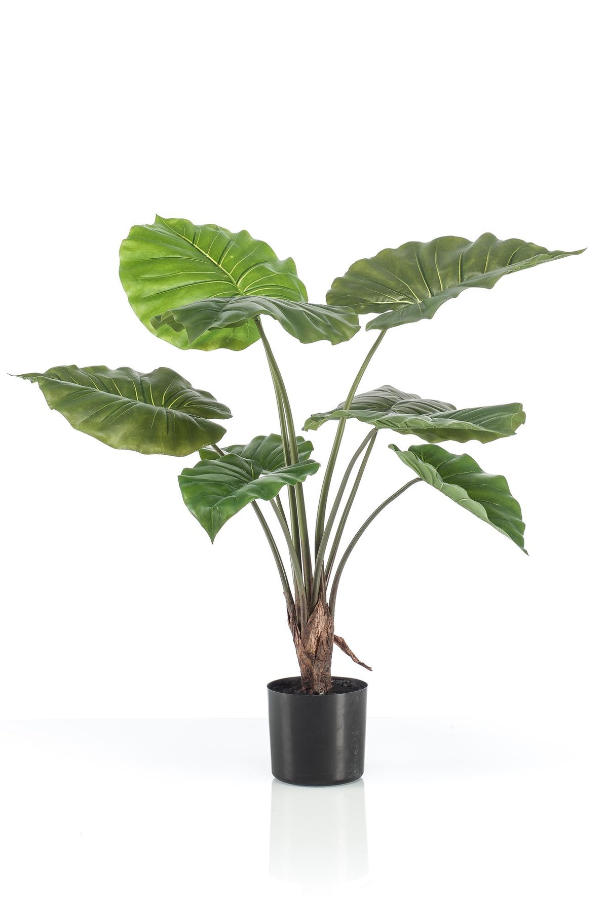 Kunstpflanze Alocasia (Elefantenohr) von Everspring, 70-180 cm hohe, realistisch aussehende Pflanzen mit großen grünen Blättern