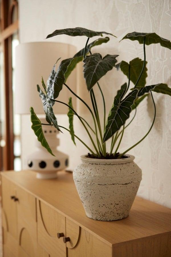 Kunstpflanze Alocasia von Everspring, 80 cm hohe grüne Pflanze mit großen Blättern, realistisch aus Kunststoff gefertigt