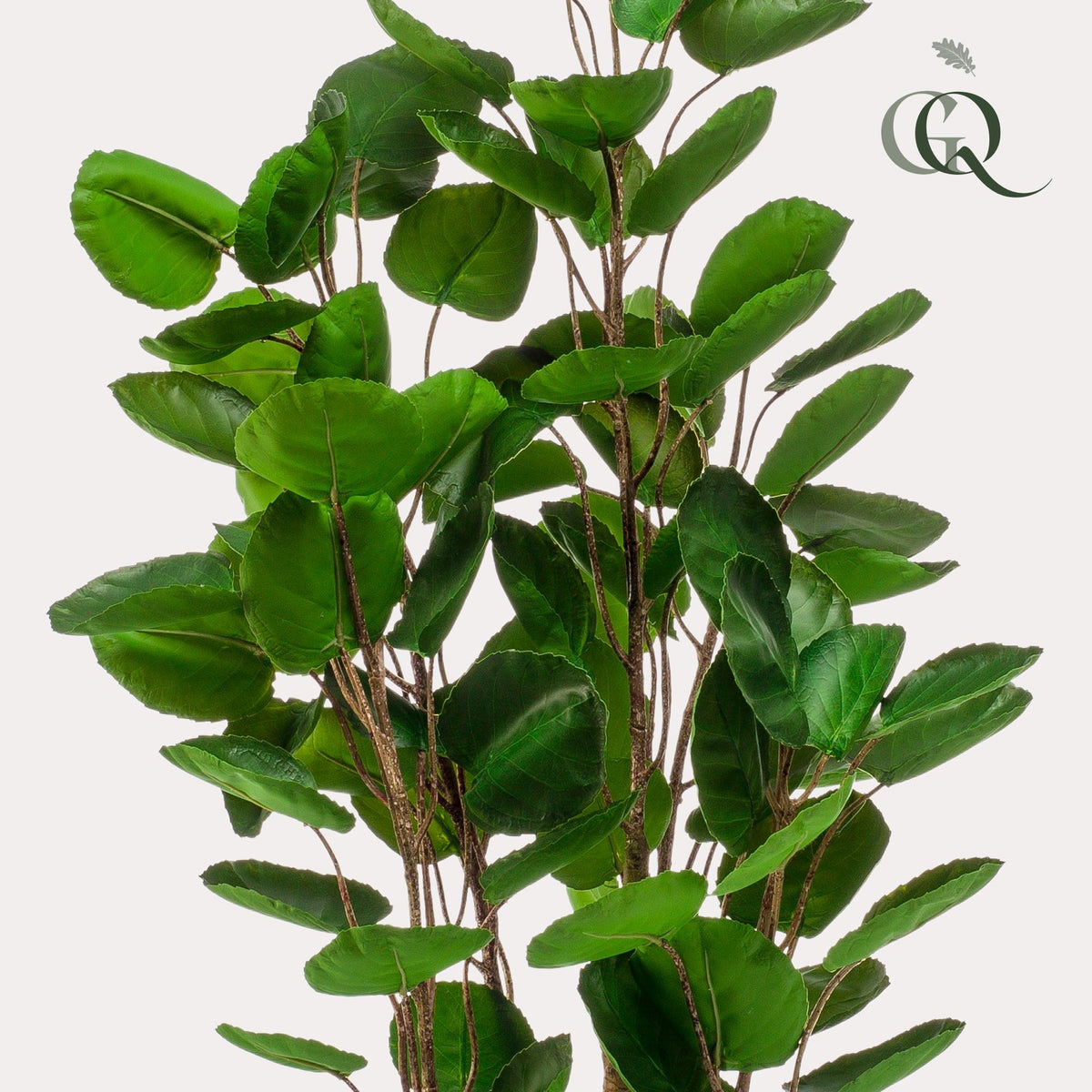 Kunstpflanze Polyscias Aralia von Everspring, 105-150 cm hoch, detailreiche grüne Blätter, realistische Pflanzenoptik