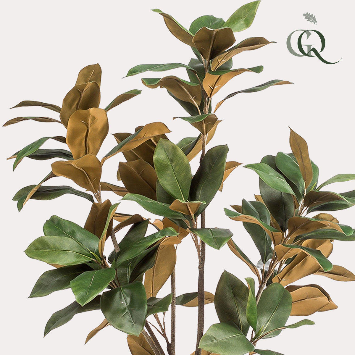 Kunstpflanze Magnolia Grandiflora von Everspring, 150cm oder 180cm hohe, realistische grüne Blätter und Blüten, dekorative Zimmerpflanze