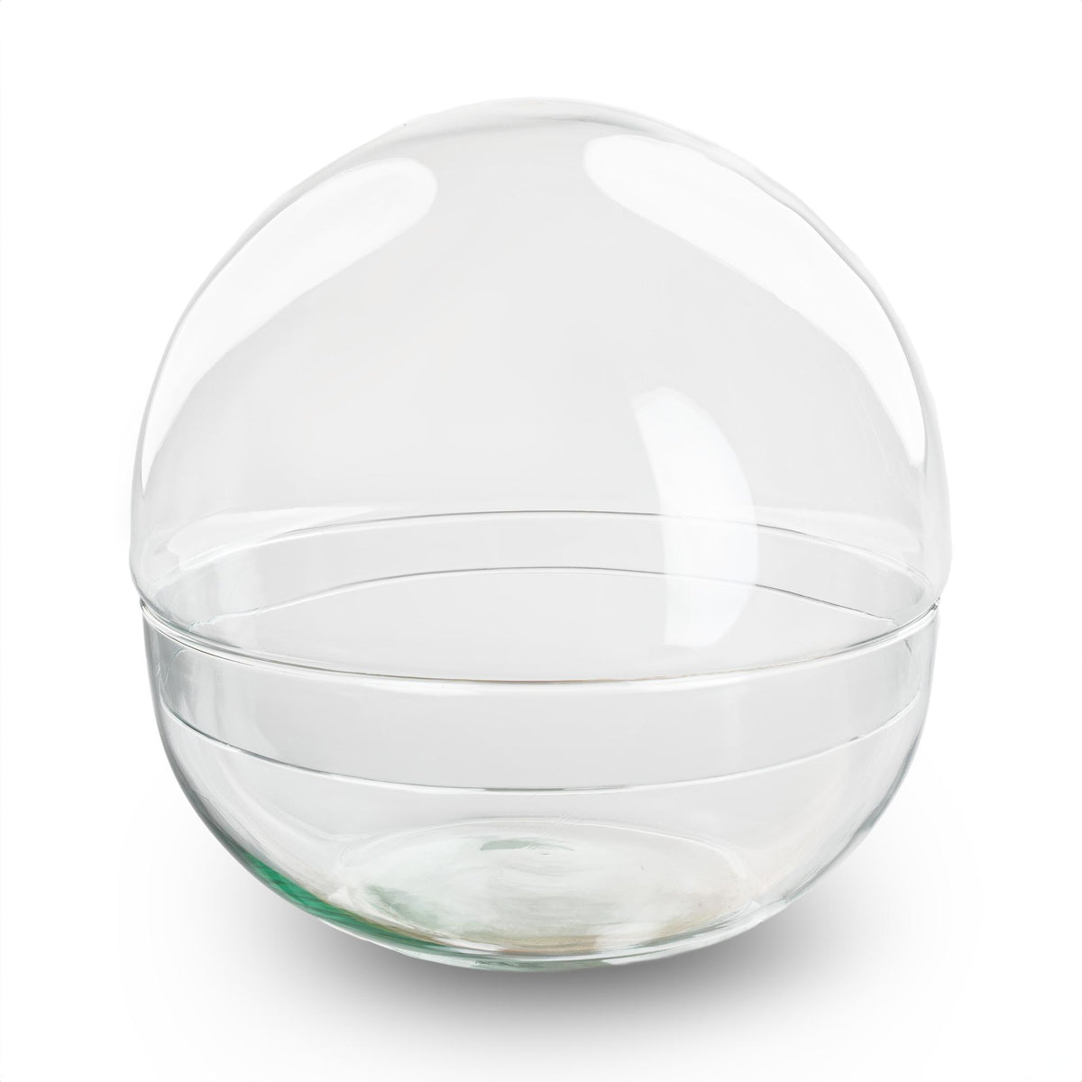 Zweiteilige Terrarium-Glaskuppel von Everspring, Durchmesser 20 cm, klare Glasabdeckung für Pflanzen und kleine Tiere.