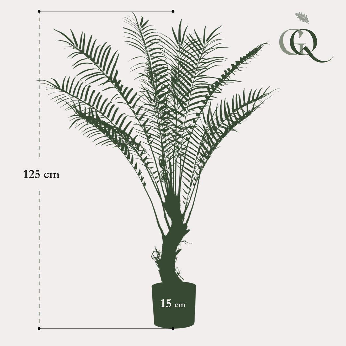 Kunstpflanze Baumfarn 125 cm von Everspring mit 15 Wedeln, realistische grüne Pflanze für Dekorationen, Nahaufnahme der Blätter