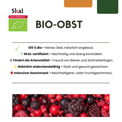 3 x Bio-Feigenbäume – Ø 13 cm – ↨ 20 cm – Gartenpflanze im Topf, ideal für Beet, Balkon oder Terrasse