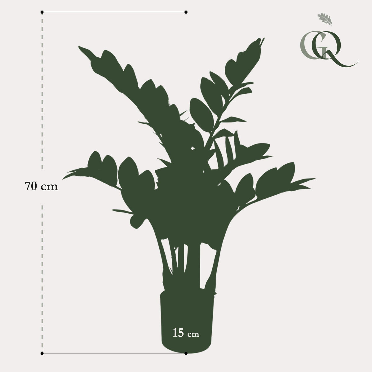Künstliche Zamioculcas Zimmerpalme von Everspring, 70 cm hoch, grüne Blätter, ideal für Wohn- und Büroräume