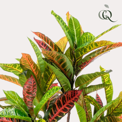 Kunstpflanze Croton Codiaeum, Wunderstrauch, Everspring, 95cm oder 120cm, detailreiche, grüne und bunte Blätter, realistisch wirkend