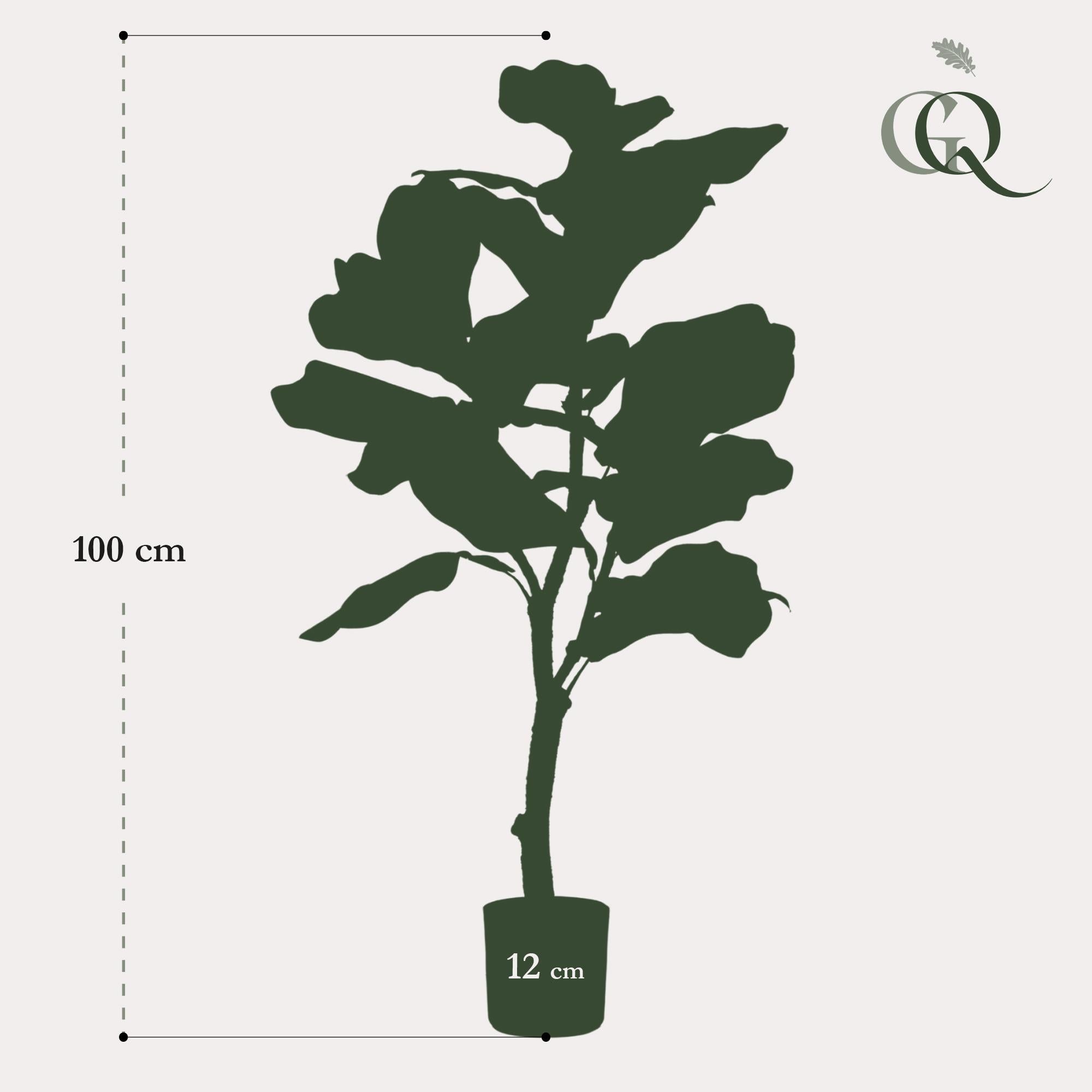 Kunstpflanze Ficus Lyrata von Everspring, 90-180 cm hohe, realistisch aussehende Tabakspflanze/Geigenfeige in Top-Ansicht