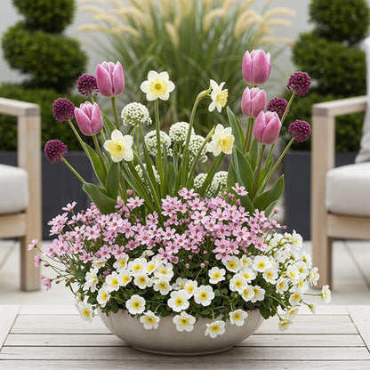 Blumenzwiebeln Bulb Garden Pink Mix | 125 Stück Rosa Blüten – Geschenkverpackung - Wurzelwerk Design