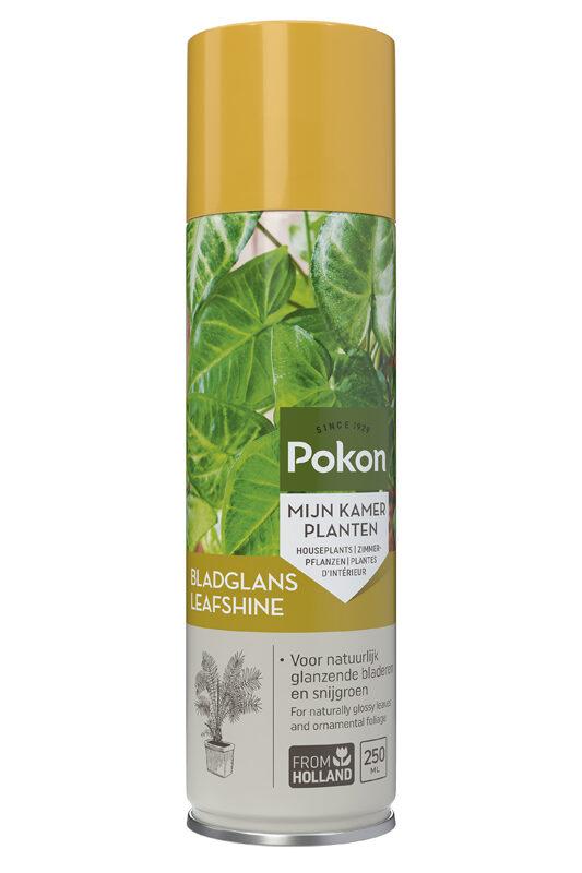 Everspring Pokon Blattglanz Glanzspray für Zimmerpflanzenblätter in 250 ml, zeigt glänzende, gepflegte Pflanzenblätter.
