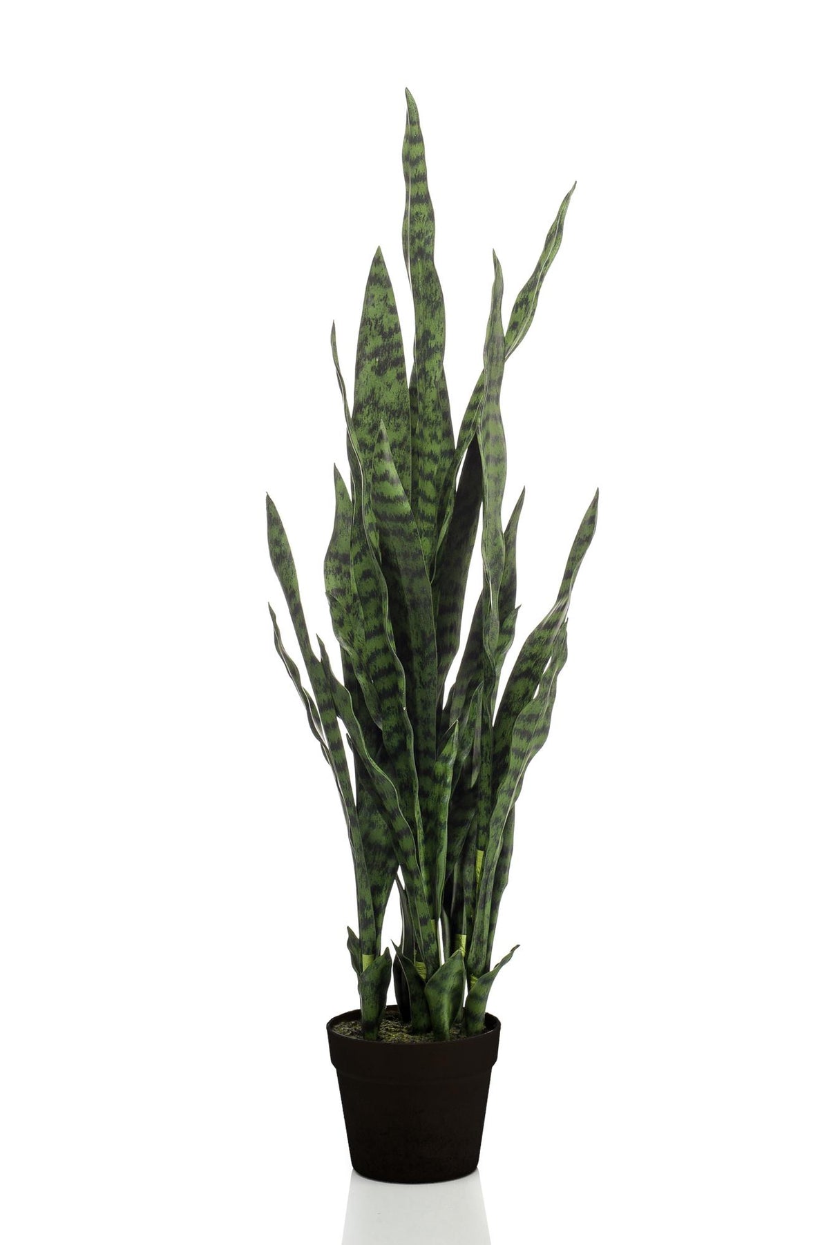 Everspring Kunstpflanze Sansevieria ‘Black Coral’ 97 cm, grüne Frauenzunge mit schwarzen Blättern, realistische Zimmerpflanze