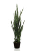 Everspring Kunstpflanze Sansevieria ‘Black Coral’ 97 cm, grüne Frauenzunge mit schwarzen Blättern, realistische Zimmerpflanze