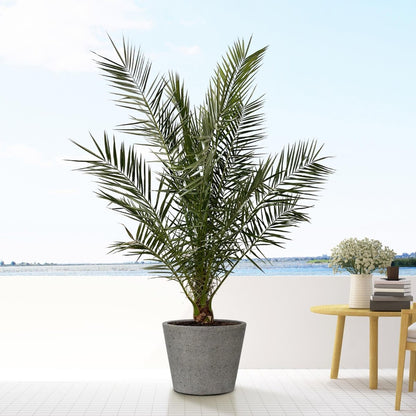Bucket Laterite Grey - M - 50x40 - Wurzelwerk Design