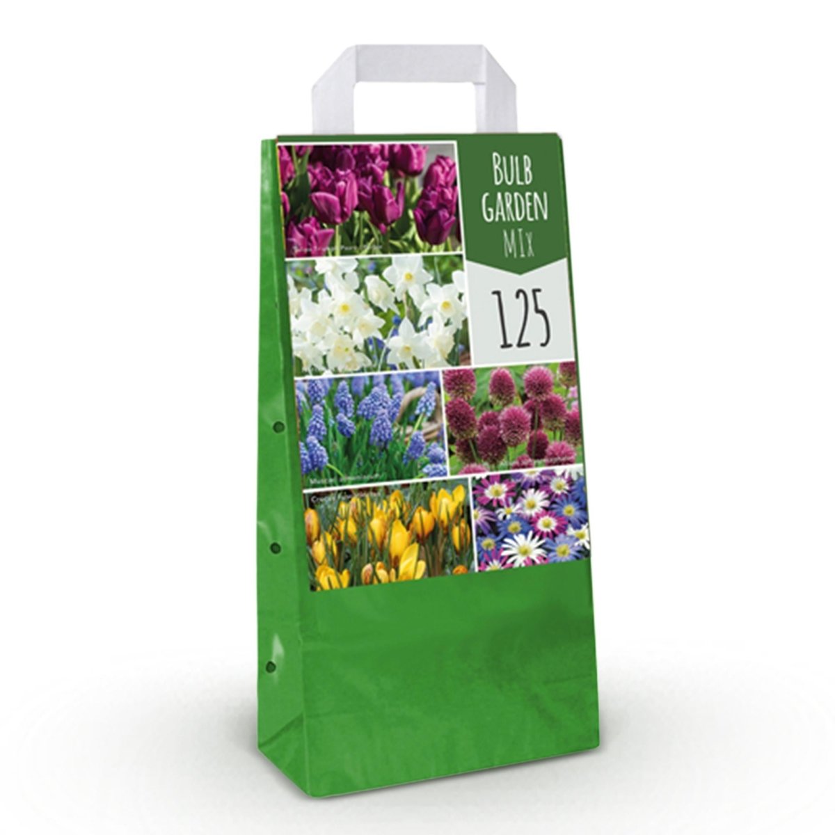 Blumenzwiebeln Bulb Garden Mix | 125 Stück Sorten - &amp; Farbenmix – Geschenkverpackung - Wurzelwerk Design