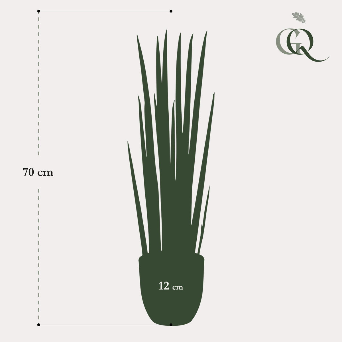 Kunstpflanze Sansevieria Cylindrica, Everspring, 70 cm hohe Frauenzunge aus Kunststoff, detailreiche Nachbildung, grüne Blätter