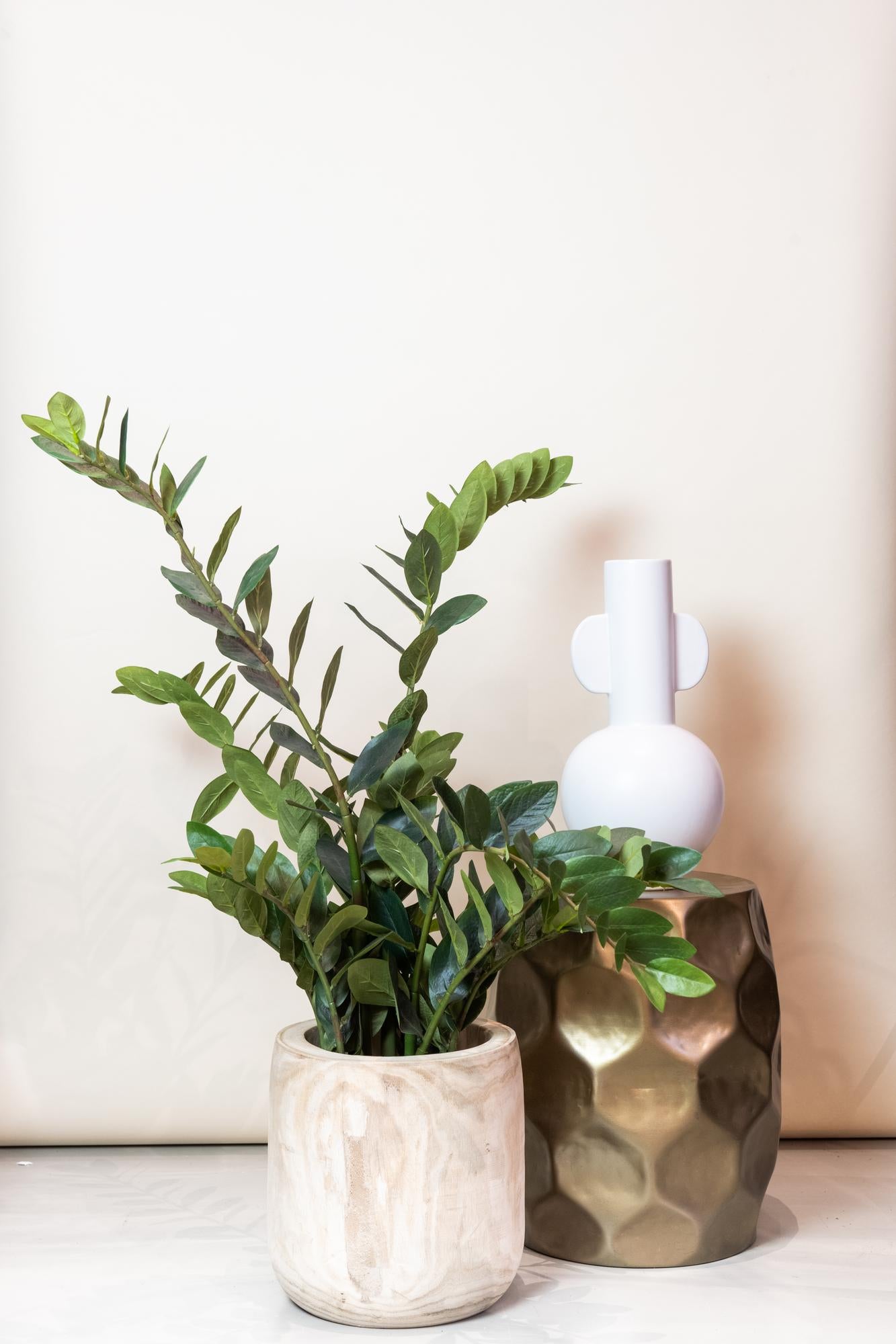 Kunstpflanze Zamioculcas, Zimmerpalme von Everspring, 110 cm hohe, grüne Pflanze für die Inneneinrichtung.