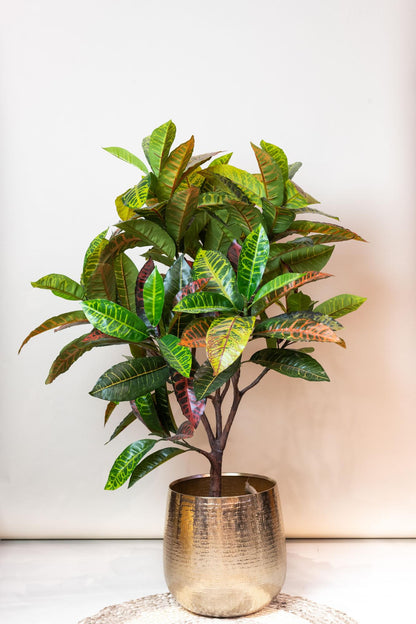 Kunstpflanze Croton Codiaeum, Wunderstrauch, Everspring, 95cm oder 120cm, detailreiche, grüne und bunte Blätter, realistische Dekopflanze