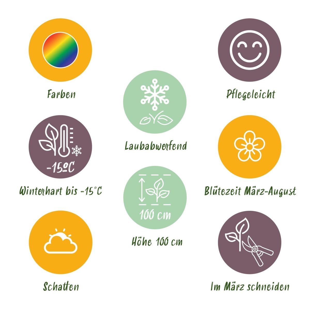Stauden - Paket - Halbschatten - 8 Stauden - Für 1 m² - Verschiedene Farben - Wenig Pflege - Topf 11 cm - Wurzelwerk Design