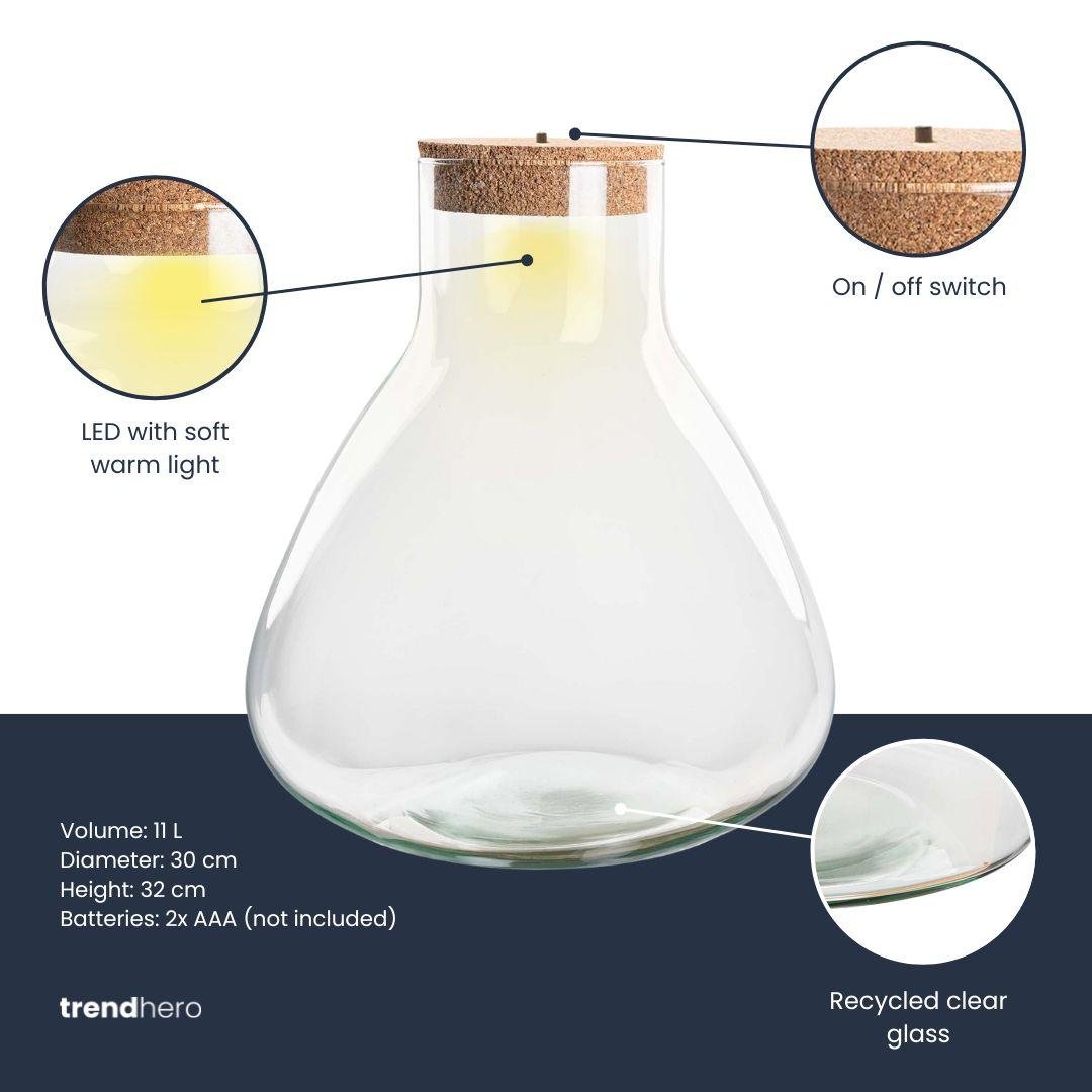Everspring Terrariumflasche mit Beleuchtung Sam XL, Ø 30 cm, Höhe 32 cm, stilvolles Glas-Design mit integrierter Lichtquelle