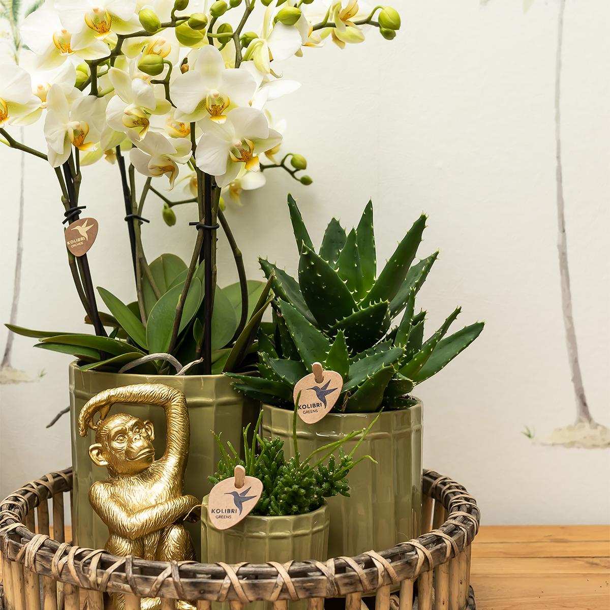 Deko - Skulptur Sitzender Affe - Gold - Wurzelwerk Design