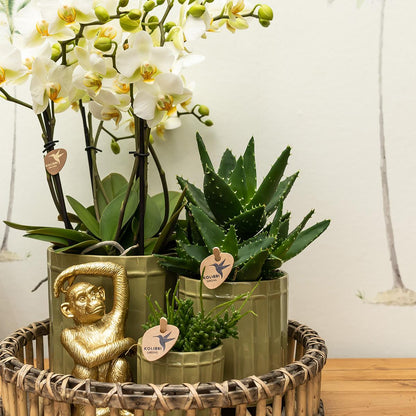 Deko - Skulptur Sitzender Affe - Gold - Wurzelwerk Design