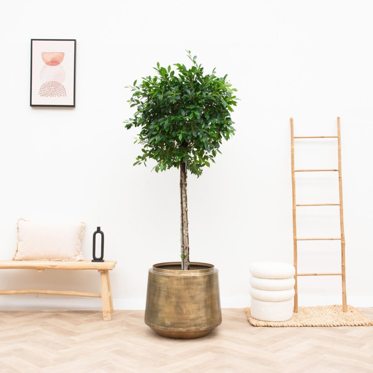 Topf Indigo Vintage Gold - D46 x H41 - Wurzelwerk Design