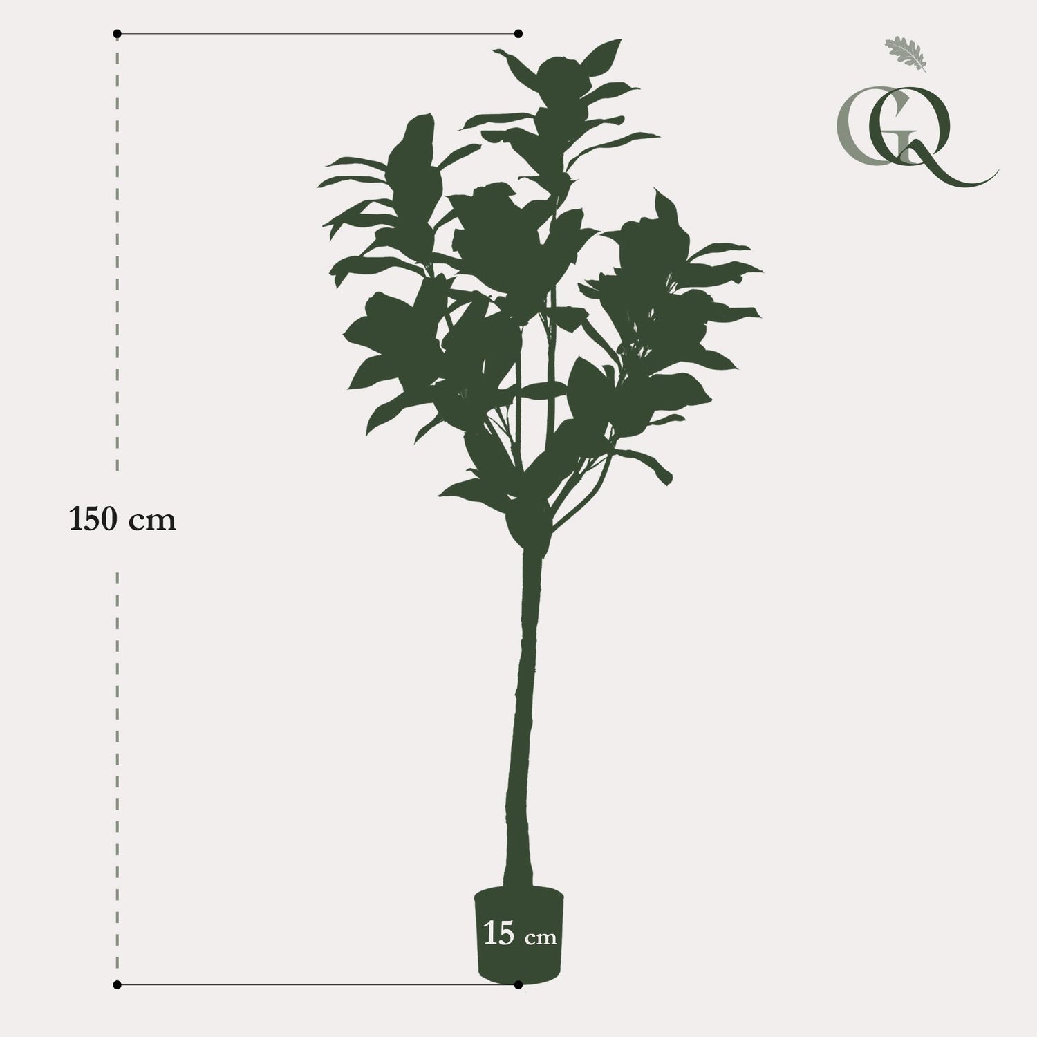 Kunstpflanze Magnolia Grandiflora von Everspring, 150cm oder 180cm hoch, detailreiche, grüne Blätter und elegante Blüten.
