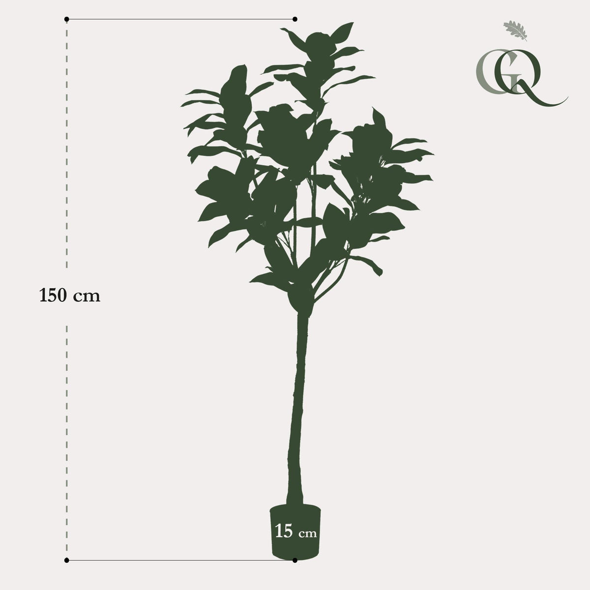 Kunstpflanze Magnolia Grandiflora von Everspring, 150cm oder 180cm hoch, detailreiche, grüne Blätter und elegante Blüten.