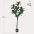 Kunstpflanze Magnolia Grandiflora von Everspring, 150cm oder 180cm hoch, detailreiche, grüne Blätter und elegante Blüten.