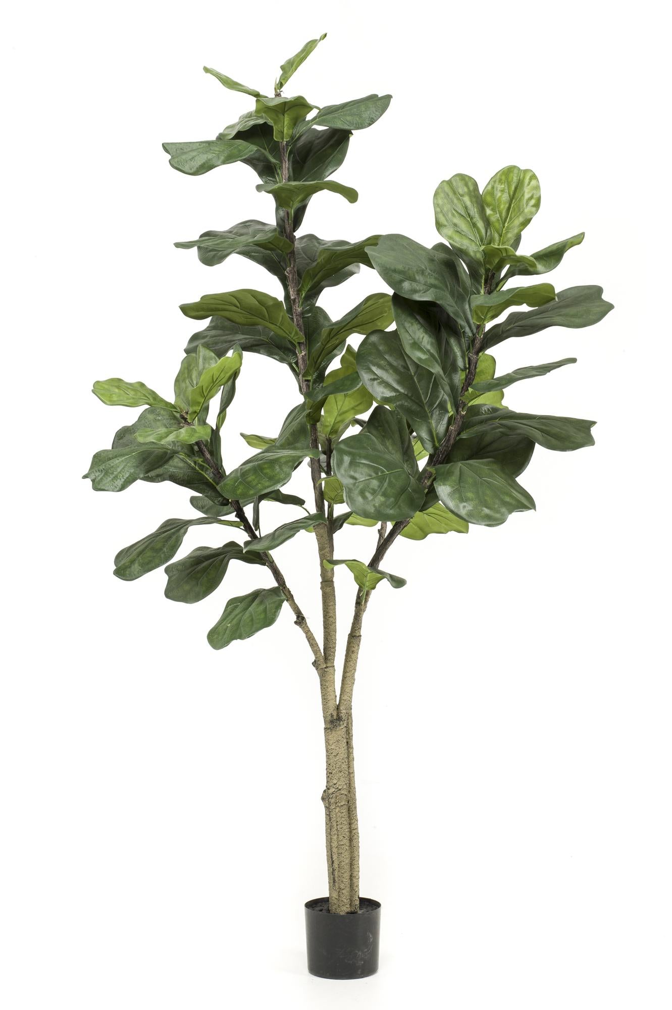 Kunstpflanze Ficus Lyrata, Everspring, 90-180 cm hohe Tabakspflanze mit großen, grünen Blättern, dekorative Zimmerpflanze