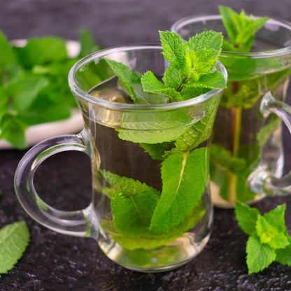 Kräuter Packet - Kräutertee - 8 Stauden - Für 1 m2 - Verschiedene Farben - Wenig Pflege - Topf 11cm