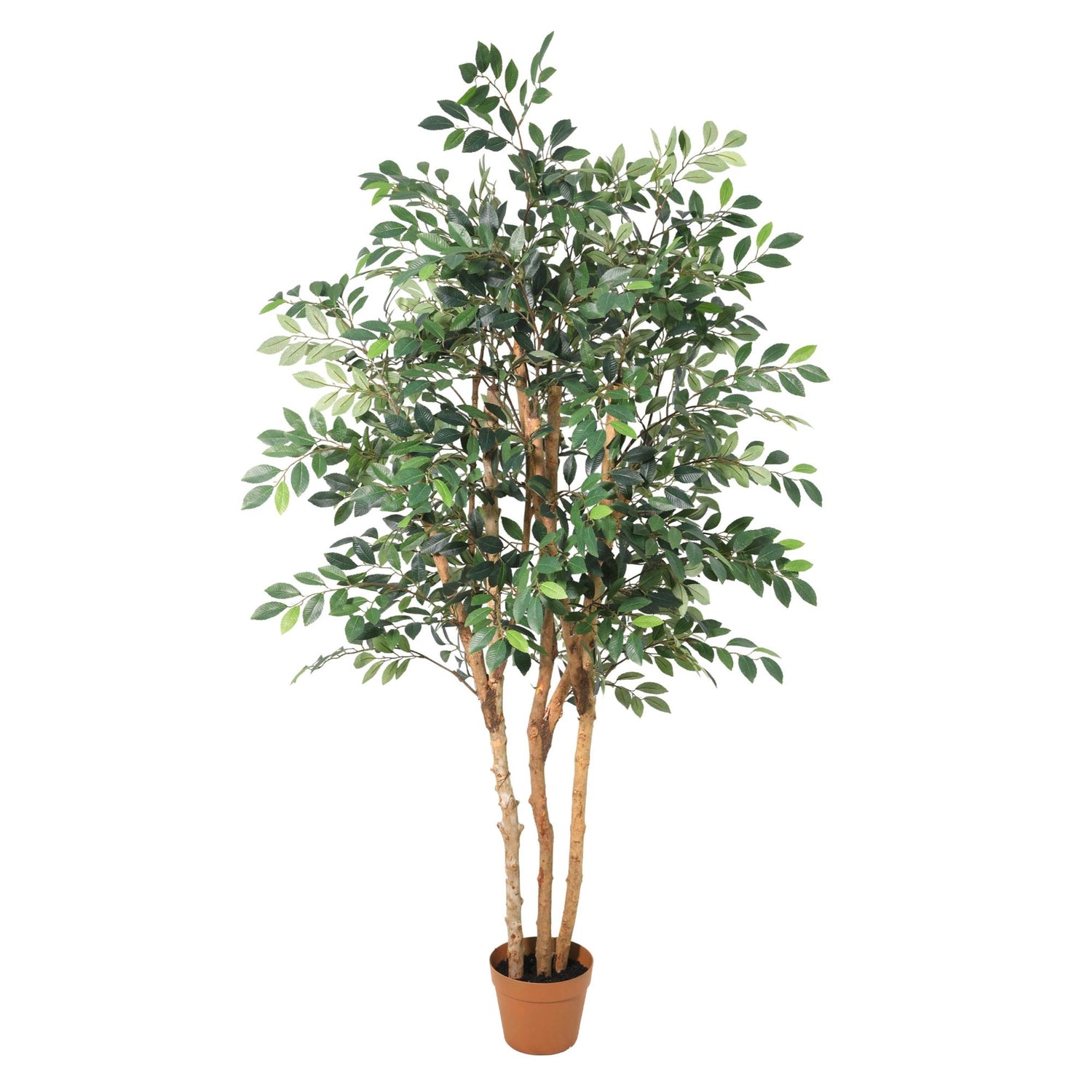 Everspring Künstlicher Ficus Exotica Pflanze, 150 cm hoch mit grünen Blättern, dekorative Zimmerpflanze, Nahaufnahme der Blätter
