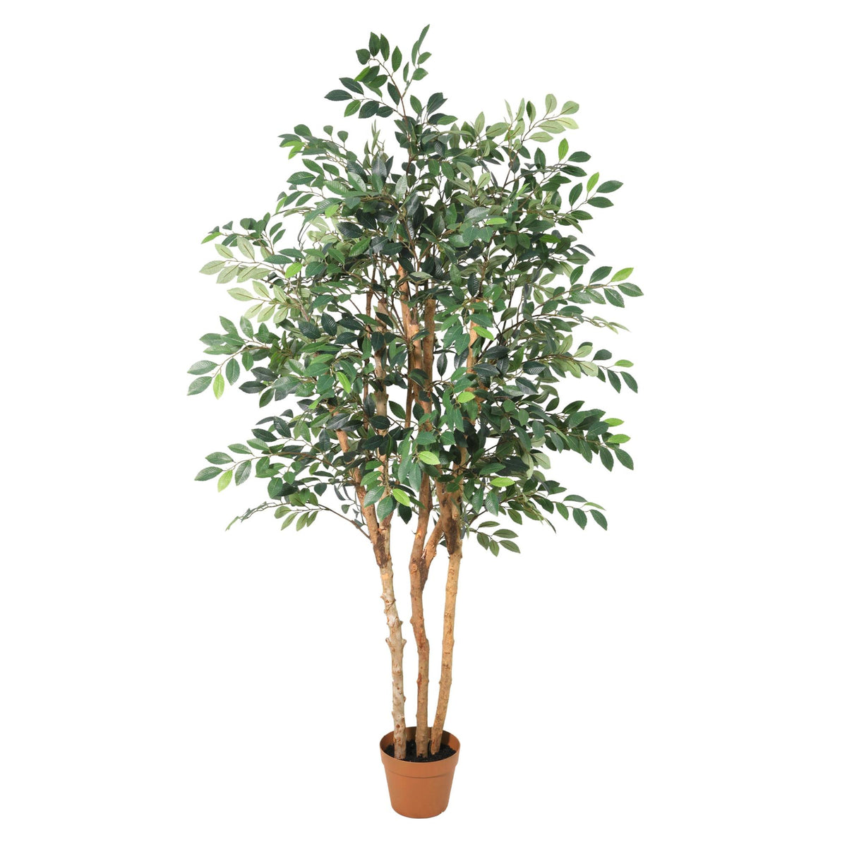 Everspring Künstlicher Ficus Exotica Pflanze, 150 cm hoch mit grünen Blättern, dekorative Zimmerpflanze, Nahaufnahme der Blätter