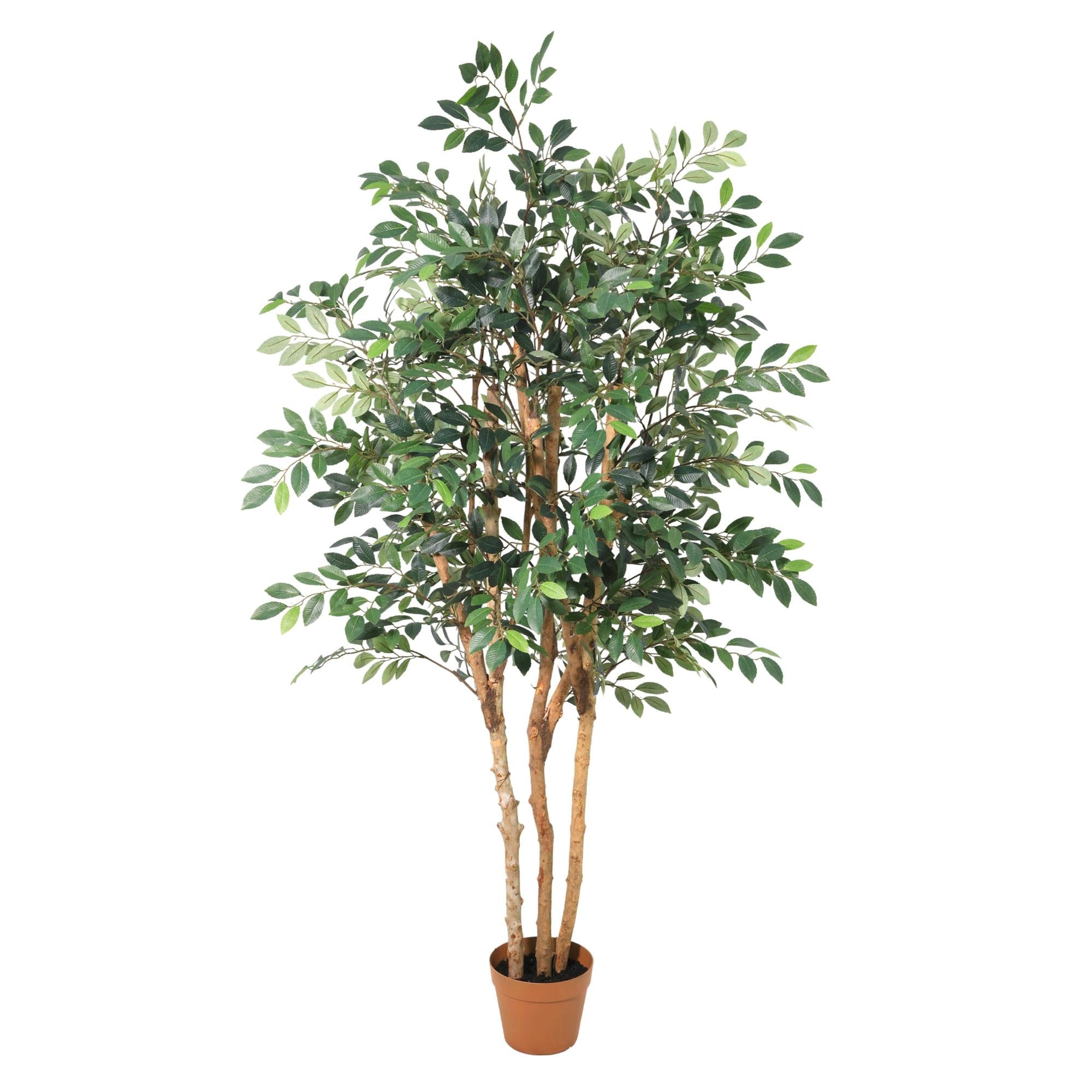 Everspring Künstlicher Ficus Exotica Pflanze, 150 cm hoch mit grünen Blättern, dekorative Zimmerpflanze, Nahaufnahme der Blätter